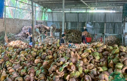 Da Lat to Sai Gon 6-Day Motorbike Tour Via Mekong Delta